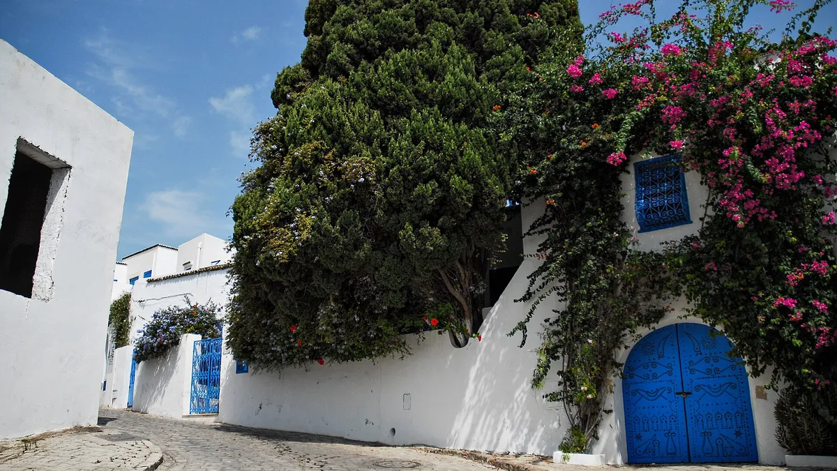 Une ruelle blanche et une porte bleue de Sidi Bou Saïd, près de Tunis